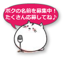 お名前募集中！